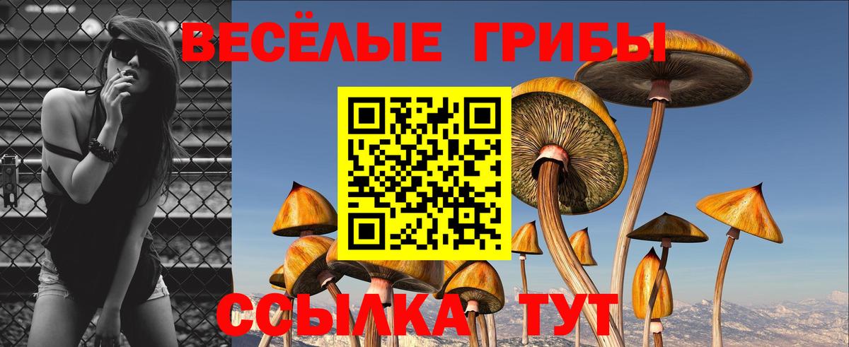 Галлюциногенные грибы Magic Shrooms  Вход с VPN  Владивосток 